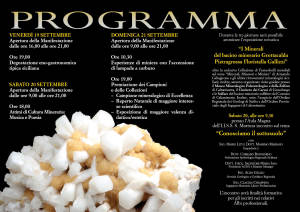 Borsa di scambio 2014 Programma